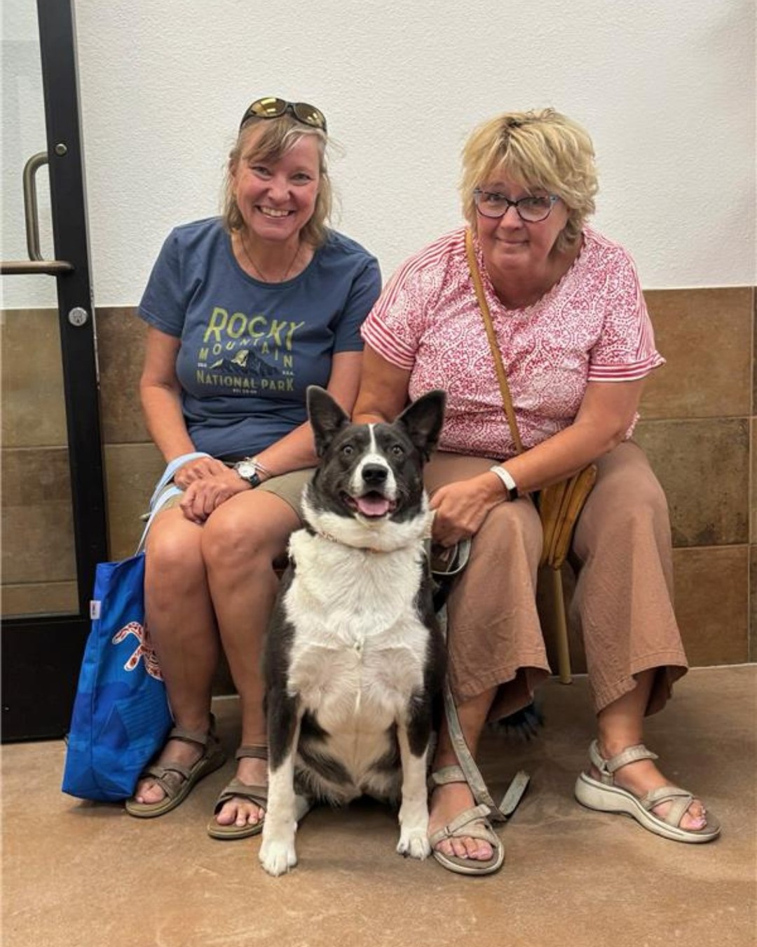 Lady Anne with adopters